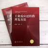 工业反应过程的开发方法 论述工业反应过程开发方法的行业经典著作 开发方法基本原则 反应浓度效应 工业反应开发工作人员应用书籍 商品缩略图5