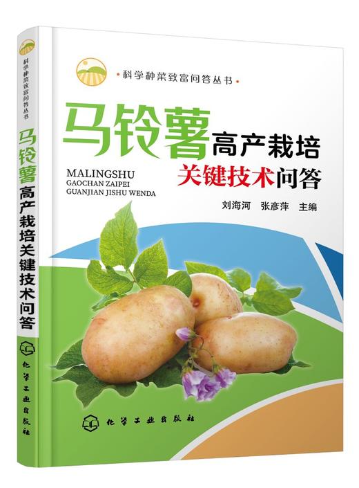 正版 马铃薯高产栽培关键技术问答 马铃薯高产栽培技马铃薯病虫害诊断防治技术蔬菜种植植保书 企业技术人员农技新型农民阅参考书 商品图0