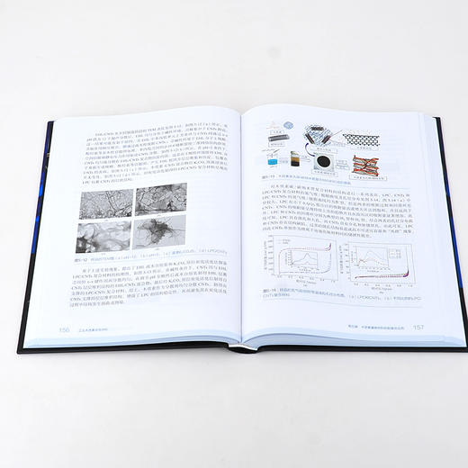 先进化工材料关键技术丛书 工业木质素改性材料 木质素 功能材料 改性材料 化学改性 生物质利用 材料科学与工程专业人员应用书籍 商品图3