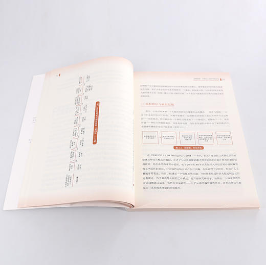 思维地图 可视化工具的学校应用 大卫海勒 哈佛教育学院18位专家联合撰写 思维可视化工具 风靡英美的思维教育案例 思维研究书籍 商品图4