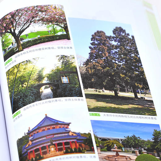 园林树木景观设计 园林树木景观概念 园林树木景观设计基本原理基础 园林树木造型艺术景观设计 园林木本地被植物景观设计应用书籍 商品图5