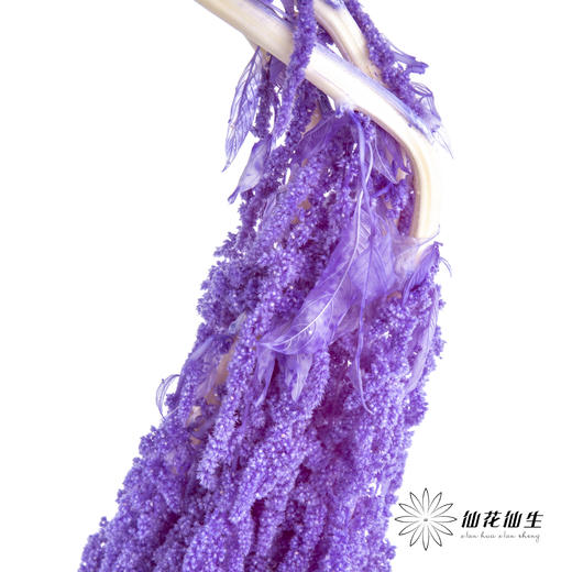 永生花材 ｜ 吊米水晶葡萄 商品图3