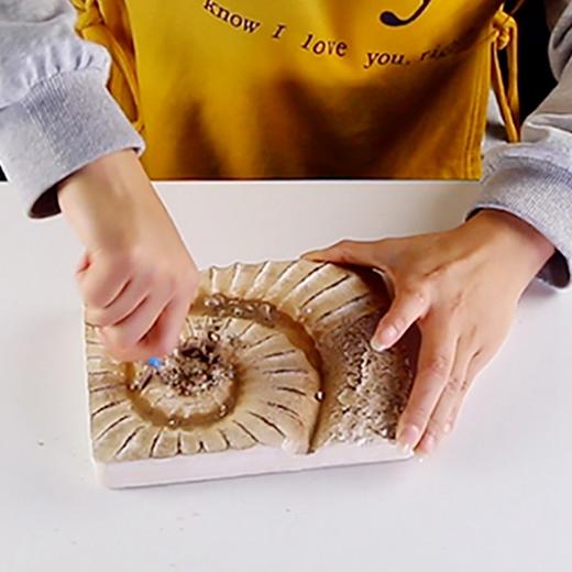 考古玩具挖掘套装！亲手挖恐龙化石、宝石、昆虫标本、鲨鱼牙齿、流星陨石！足不出户，体验真实考古！ 商品图4