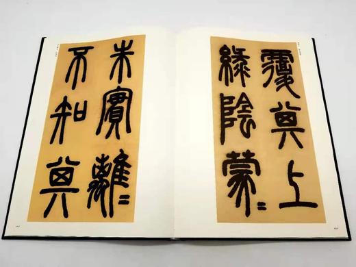 《中国书法经典 碑帖导临类编》：篆书三册+隶书五册+真书五册+行草五册，合计18册，8开 商品图9