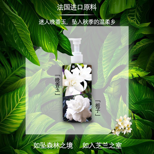 【秒变氛围感美女】中日联合专为油软榻发质研发 有机配方 头皮防护力修护力加倍 让头发丰盈蓬松 告别稀松发缝 高定香氛 让你浑身散发迷人香气 柏物益生元氨基酸控油养发洗发水 商品图5