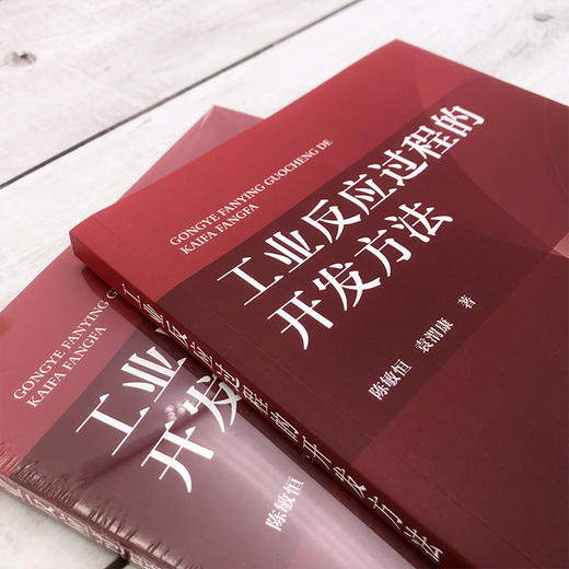 工业反应过程的开发方法 论述工业反应过程开发方法的行业经典著作 开发方法基本原则 反应浓度效应 工业反应开发工作人员应用书籍 商品图3