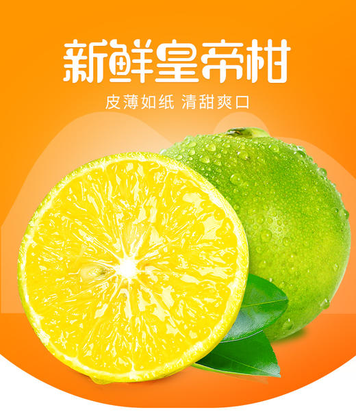 森农 皇帝柑新鲜水果当季青皮桔5斤装 商品图1