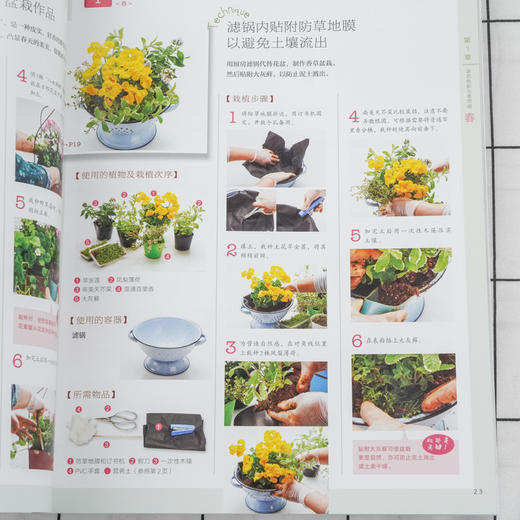 我的迷你花园 图解四季组合盆栽设计与制作 组合盆栽设计和制作方法书籍时令花材选择季节感色彩搭配技巧组合盆栽配色要领容器选择 商品图5