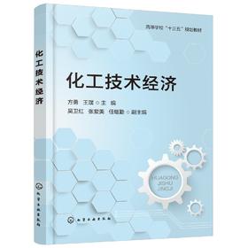 化工技术经济 方勇 化工经济石油化工企业发展战略 HSE管理 注册咨询工程师考试辅助参考书技术经济类教材 高等学校十三五规划教材