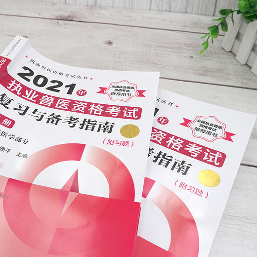 执业兽医资格考试丛书 2021年执业兽医资格考试复习与备考指南附习题下册 历年真题库模拟试卷兽医书全国执业兽医资格考试考前复习 商品图3