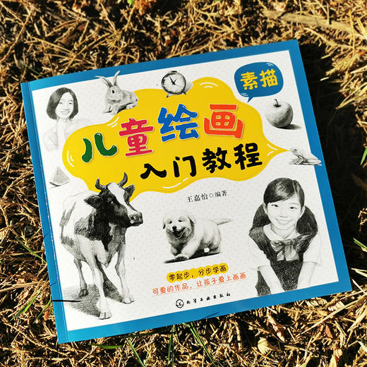 儿童绘画入门教程 素描 儿童零基础自学素描教材画谱 动物花鸟蔬果山水画法 少儿学素描画基础技法教材书 中国素描传统绘画教程书 商品图2
