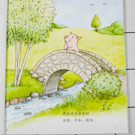 儿童情绪管理与性格培养绘本 小猪的烦恼 如何自信地应对挫折 3-6-8岁幼儿亲子睡前读物 儿童启蒙认知故事书训练幼儿性格培养绘本 商品图2