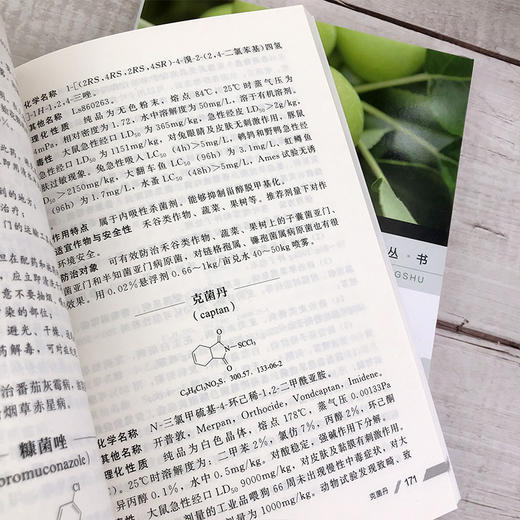 现货 现代农药应用技术丛书 杀菌剂卷 第二版 现代农药书 杀菌剂实用技术图书 杀菌剂基础知识大全书籍 杀菌剂教材 菌剂使用技术书 商品图4