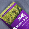 小麦优质高产问答 杨雄 王迪轩 何永梅 粮油经济作物高效栽培丛书 第2二版 小麦高效栽培种植技术大全 科学种植小麦书籍 商品缩略图2