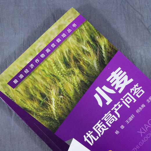 小麦优质高产问答 杨雄 王迪轩 何永梅 粮油经济作物高效栽培丛书 第2二版 小麦高效栽培种植技术大全 科学种植小麦书籍 商品图2