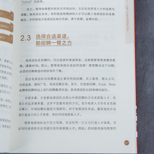 电商团队管理全案 招聘培训与绩效薪酬 张宜君 HR招聘薪酬绩效管理人事雇人灵活用工劳务派遣劳动关系 降低用人成本提升经营效益 商品图5