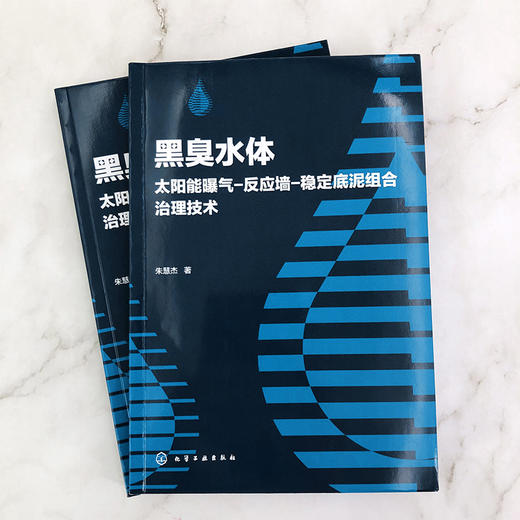 正版 黑臭水体太阳能曝气 反应墙 稳定底泥组合治理技术 黑臭水体成因及危害治理技术发展概况黑臭水体底泥稳定剂研究现状应用书籍 商品图2