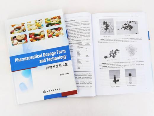 药物剂型与工艺 Pharmaceutical Dosage Form and Technology 英文 张奇 药物剂型药物载体制备工艺流程 本科研究生药学专业教材 商品图2