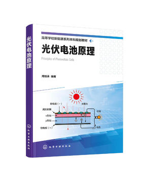 光伏电池原理 周继承 太阳能电池 光伏光伏电池 晶硅光伏电池 半导体硅的电子态 载流子浓度与导电性 光伏电池特性与效率应用书籍