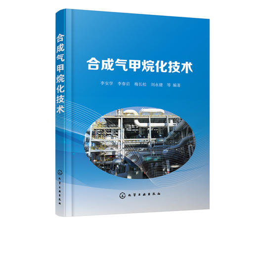 合成气甲烷化技术 成气甲烷化反应热力学和动力学 合成气甲烷化技术背景 煤化工甲烷化关键技术 合成气甲烷化催化剂关键技术应用书 商品图5