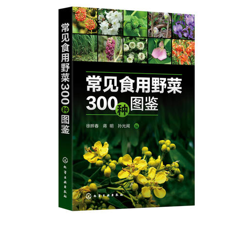 常见食用野菜300种图鉴 地上茎叶类地下根茎类食花类调味类食果类野菜名称科属分类识别特征鉴别技巧应用书 常见食用野菜一本通 商品图5