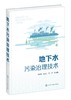 地下水污染治理技术 地下水污染修复技术 地下水污染修复案例分析 从事地下水研究等专业技术人员 地下水修复工程实际应用指导书籍 商品缩略图0