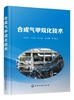 合成气甲烷化技术 成气甲烷化反应热力学和动力学 合成气甲烷化技术背景 煤化工甲烷化关键技术 合成气甲烷化催化剂关键技术应用书 商品缩略图0