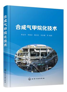 合成气甲烷化技术 成气甲烷化反应热力学和动力学 合成气甲烷化技术背景 煤化工甲烷化关键技术 合成气甲烷化催化剂关键技术应用书