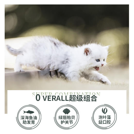 zeal新西兰进口猫罐头主食湿粮成幼猫增肥发腮宠物零食【刮码发货，介意勿拍】 商品图2