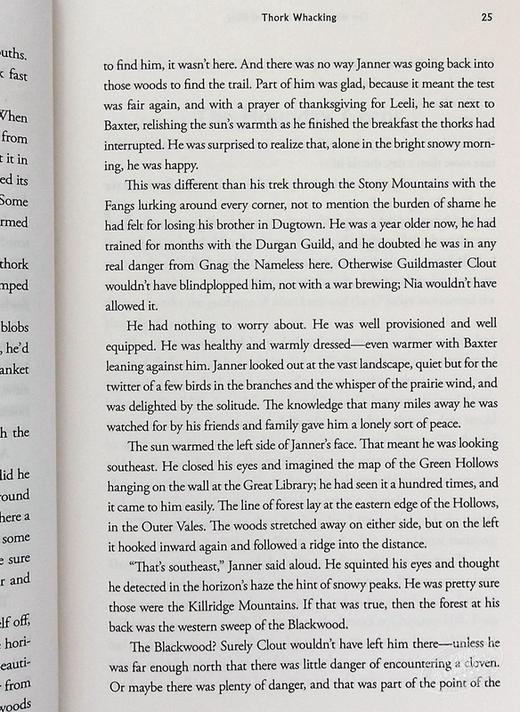 【中商原版】羽翼传奇4 英文原版 The Wingfeather Saga #04: The Warden and the Wolf King Andrew Peterson 青少年奇幻小说 商品图5