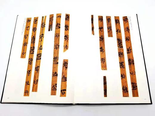 《中国书法经典 碑帖导临类编》：篆书三册+隶书五册+真书五册+行草五册，合计18册，8开 商品图6