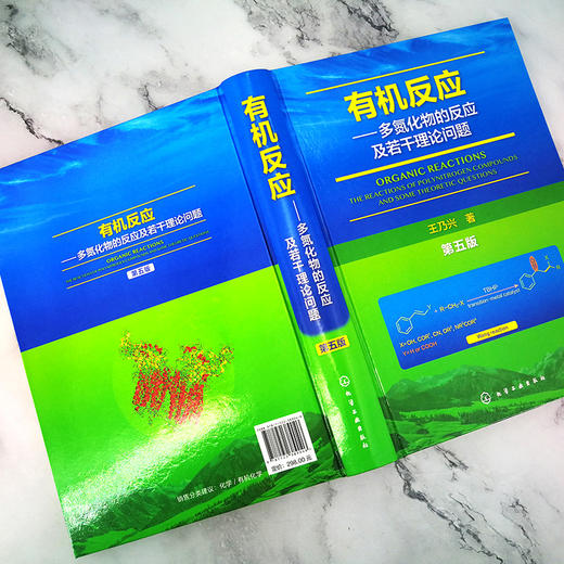 有机反应多氮化物的反应及若干理论问题 第五版王乃兴 多氮化物 有机反应 微扰分子轨道法应用 有机化学材料化学精细化工研究书籍 商品图2