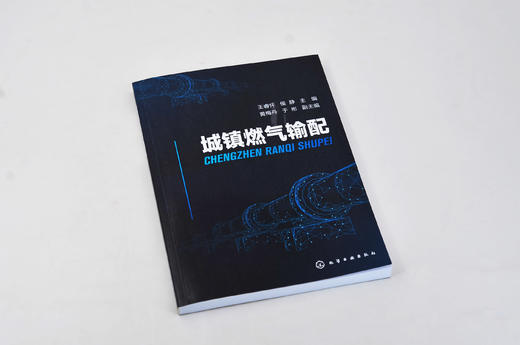 城镇燃气输配 王睿怀 城镇燃气分类 城镇燃气供需压缩天然气供应 液化石油气供应燃气安全运输处理存放 高等职业城市燃气工程教材 商品图2