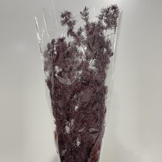 永生花材 ｜ 蓬莱松烟熏紫 商品图0
