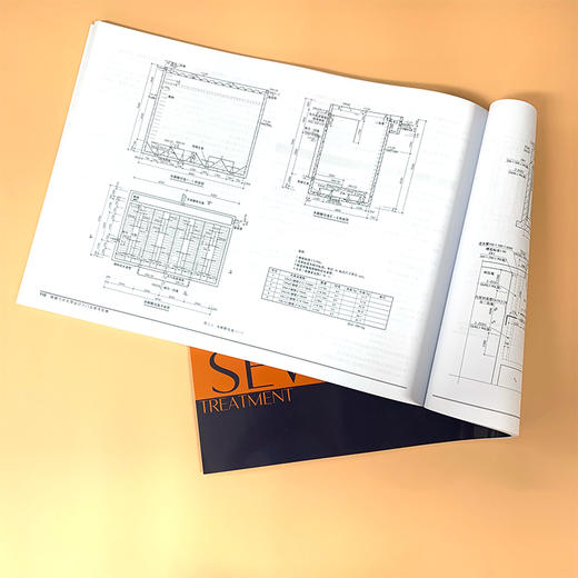 城镇污水处理设计入门及参考图集 设计构筑物设计要点参考书籍 初学人员设计入门参考书 典型构筑物设计图城市污水处理应用书籍 商品图3