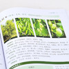 图说诗话鉴植物 植物图鉴 古诗词 辨识植物 植物的药用价值 植物环保价值 园林绿化设计栽培欣赏 同类或易混植物区别 植物学书籍 商品缩略图4