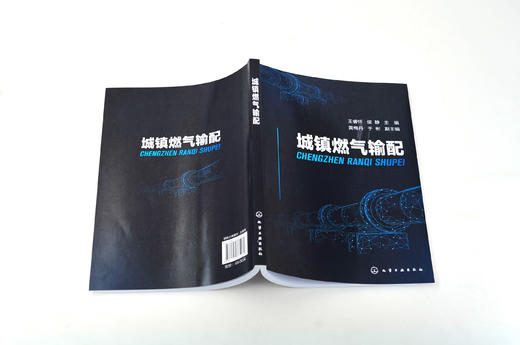 城镇燃气输配 王睿怀 城镇燃气分类 城镇燃气供需压缩天然气供应 液化石油气供应燃气安全运输处理存放 高等职业城市燃气工程教材 商品图4