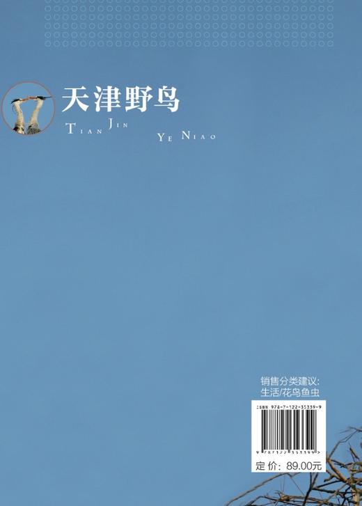 天津野鸟 常见野鸟图鉴 鸟类生态图片大全 鸟图鉴北京观鸟华北野鸟 鸟类摄影自然生态保护 大自然鸟类野外观鸟手册 野鸟科普书籍 商品图1