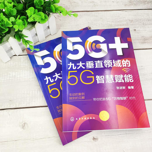 5G+九大垂直领域的5G智慧赋能 5G应用场景六大优势核心技术 5G人工智能制造智慧交通医疗未来教育能源革命智能文娱智慧城市技术书 商品图2