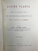 1874年 阿尔卑斯山植物图鉴 108页套色版画插图 真皮脊精装16开 商品缩略图2