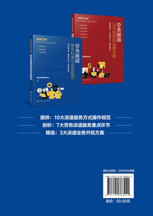 劳务派遣服务与规范化管理系列 劳务派遣服务标准与业务规范 劳务派遣运营服务标准工作服务规范 劳务派遣业务公司组织设计应用书 商品图1