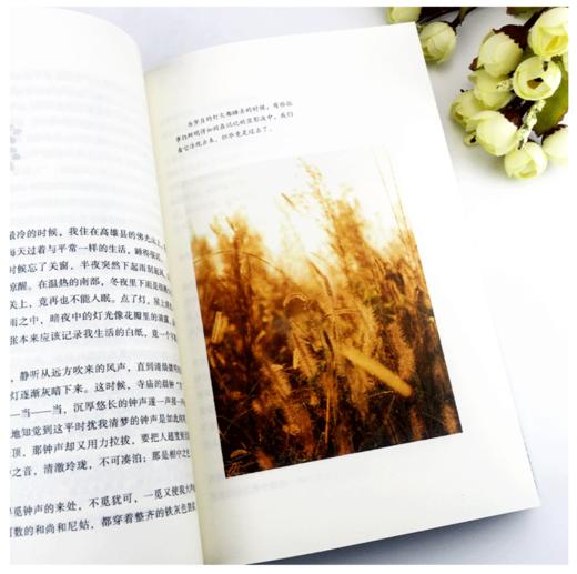 林清玄散文精选/名家散文典藏（彩插版） 商品图3