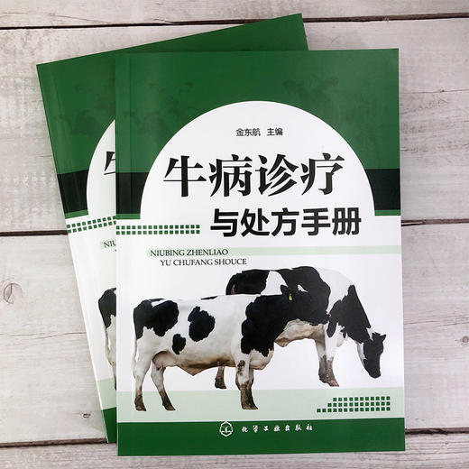 牛病诊疗与处方手册 牛病类症鉴别与诊治 养牛书籍大全技术 肉牛养殖技术书籍 牛传染病寄生虫病产科病牛病诊断及治疗兽医大全书籍 商品图2