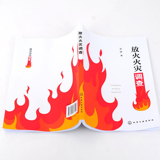 正版 放火火灾调查 放火纵火火灾调查中技术与鉴定 消防现场勘验火灾鉴定火灾原因调查指纹和DNA提取技术火灾勘查涉火案件侦查书籍 商品图3