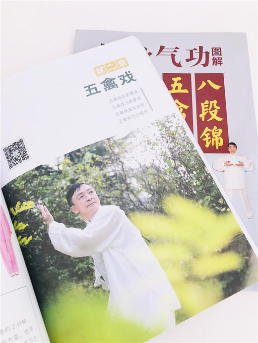 健身气功图解 八段锦五禽戏易筋经六字诀 中华健身术养生术 健身功法动作流程口诀分步详解  强身健体保健养生 健身气功习练经验书 商品图4