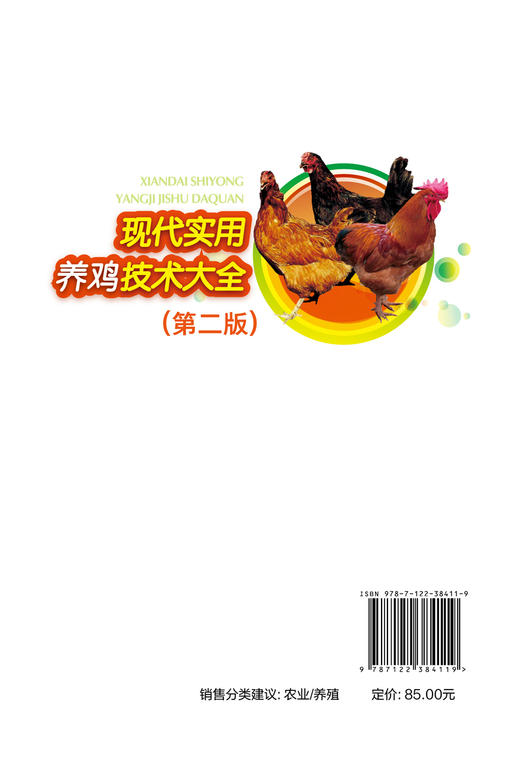 现代实用养鸡技术大全 第二版 一本看了就能养好鸡的书 养鸡入门一本通 全书彩色印刷 养鸡技术 鸡场疾病的防治技术 鸡场经营管理 商品图1