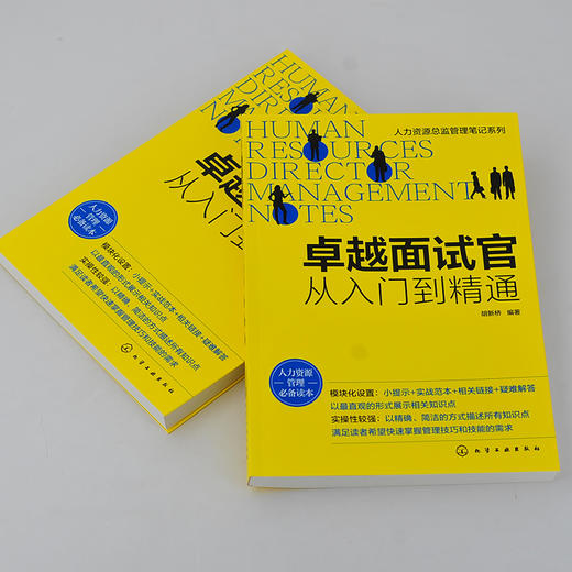 人力资源总监管理笔记系列 卓越面试官 从入门到精通 HR招聘面试书籍面试方法 面试题目设计面试技巧人事行政管理职场招聘应用书籍 商品图3