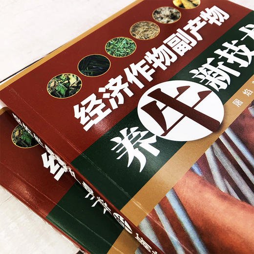 经济作物副产物养牛新技术 秸秆养牛技术书籍 经济作物副产物饲料制作技术饲用方法 经济作物副产物资源及饲料化利用技术应用书籍 商品图3