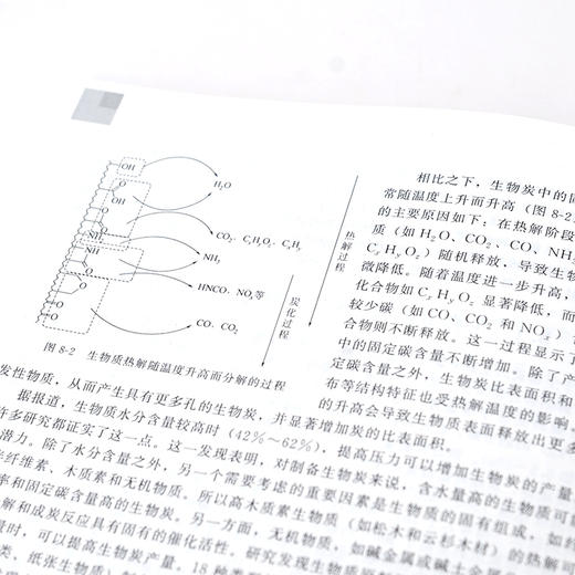 现代生物质资源化应用技术 生物质固体废物处理处置方法书籍 好氧堆肥技术厌氧发酵技术蚯蚓堆肥技术生物质热解气化技术应用书籍 商品图5