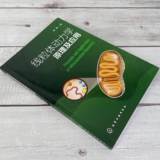 线粒体动力学原理及应用 线粒体表观遗传学 线粒体动力学及其对代谢调控 线粒体动力学调控免疫应答 机械力介导下线粒体动力学响应 商品图3